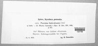 Puccinia galii image